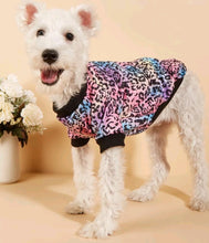 Load image into Gallery viewer, Rainbow Puppy Coat
